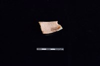 陶片藏品圖，第2張